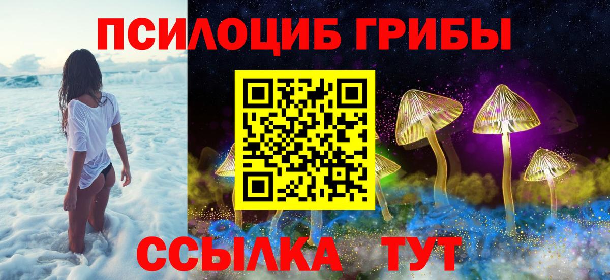 Псилоцибиновые грибы Magic Shrooms Ефремов