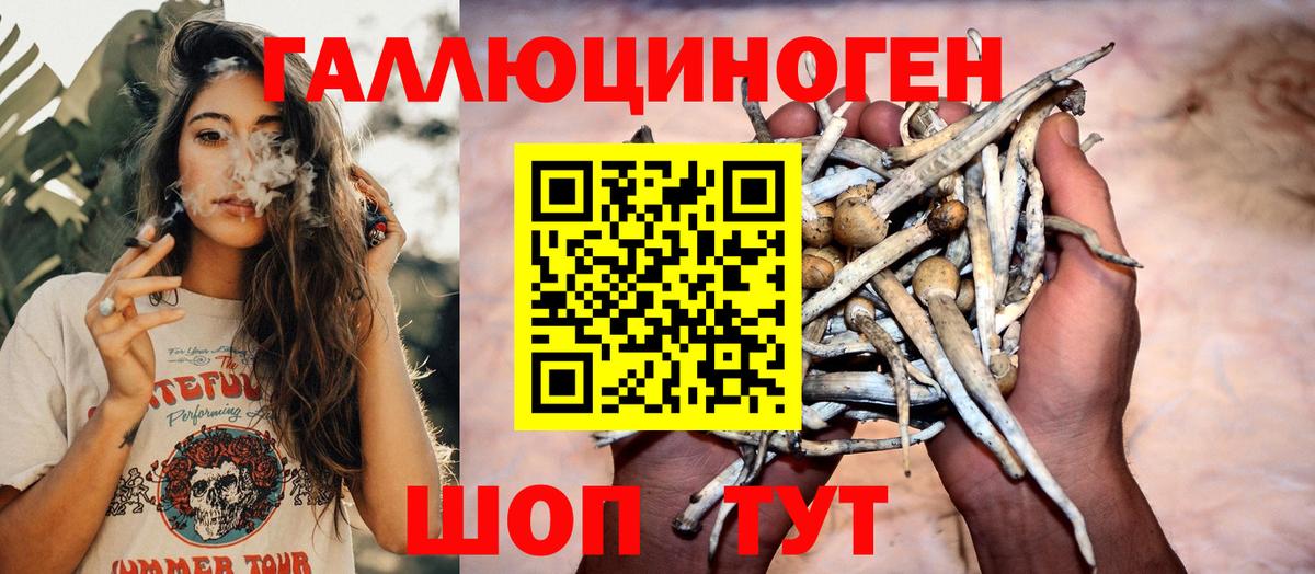 Галлюциногенные грибы мицелий  Вход с VPN  Ефремов 